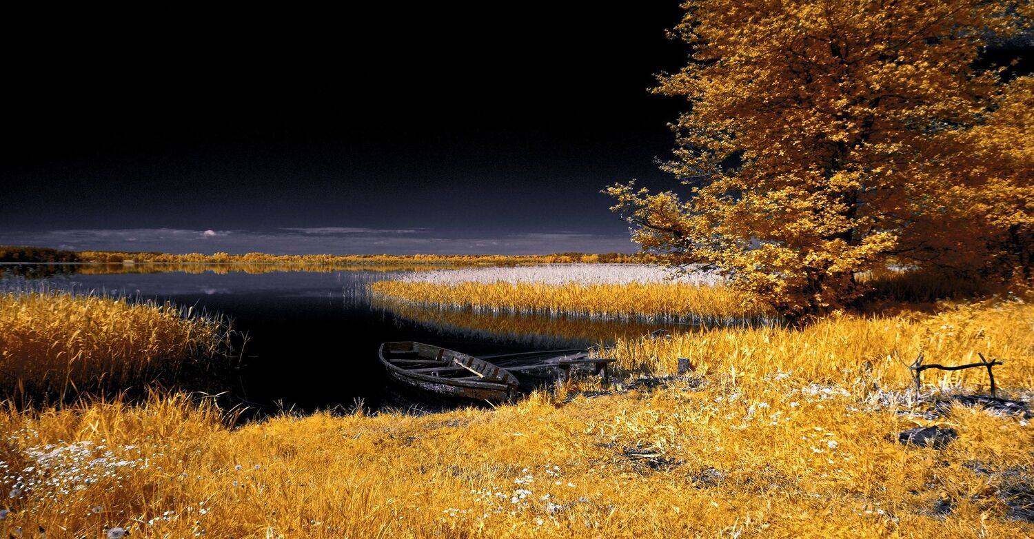 infrared,ик-фото,инфракрасное фото,инфракрасная фотография,пейзаж,природа,беларусь,лето, Sixten ( Сергей )