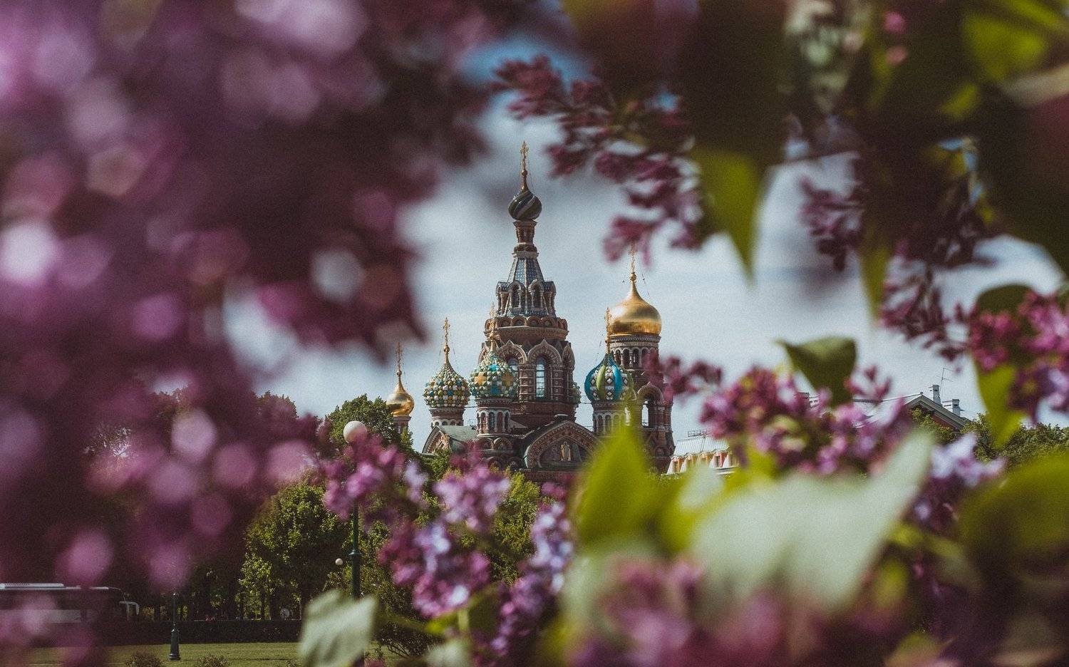 , Aim&eacute; Balaguer