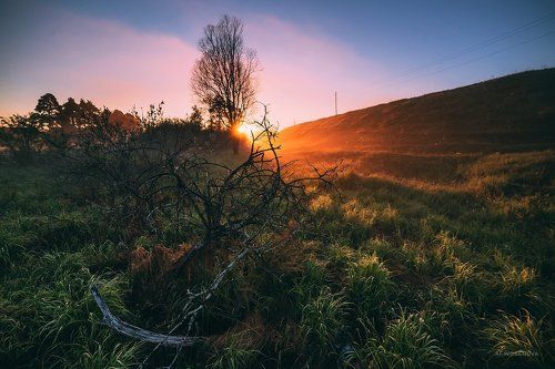 Рассветный час