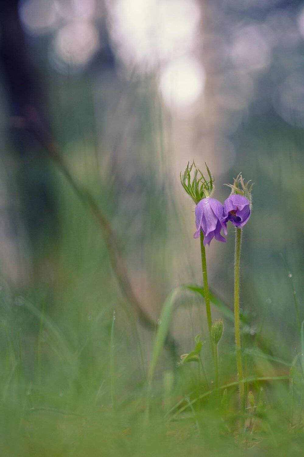 , Кузнецов Дмитрий