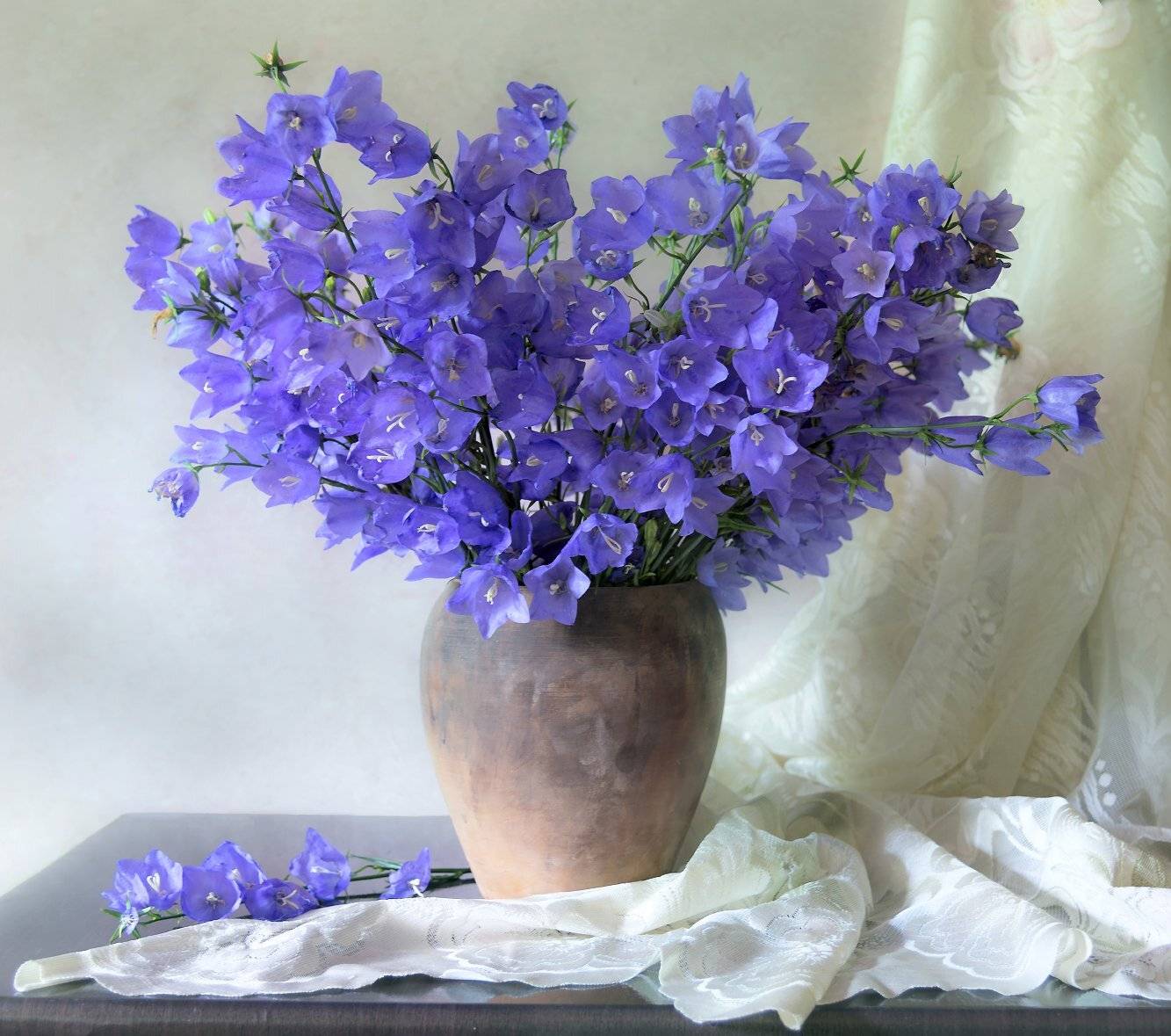 , Елена Брежицкая