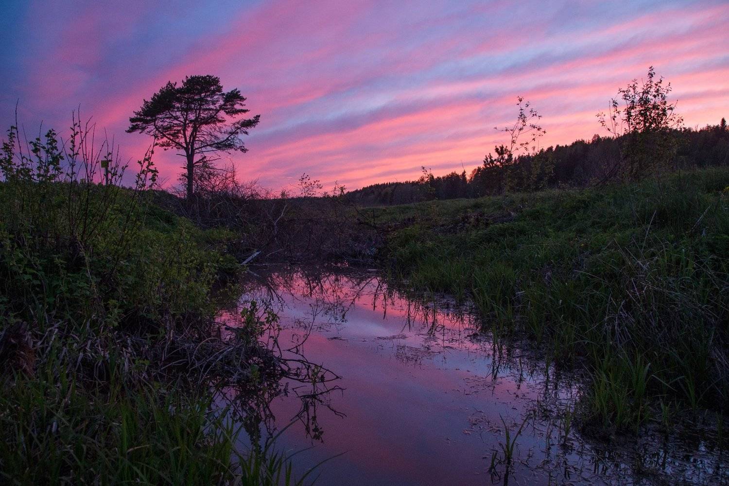 карелия, закат, болото, muscka