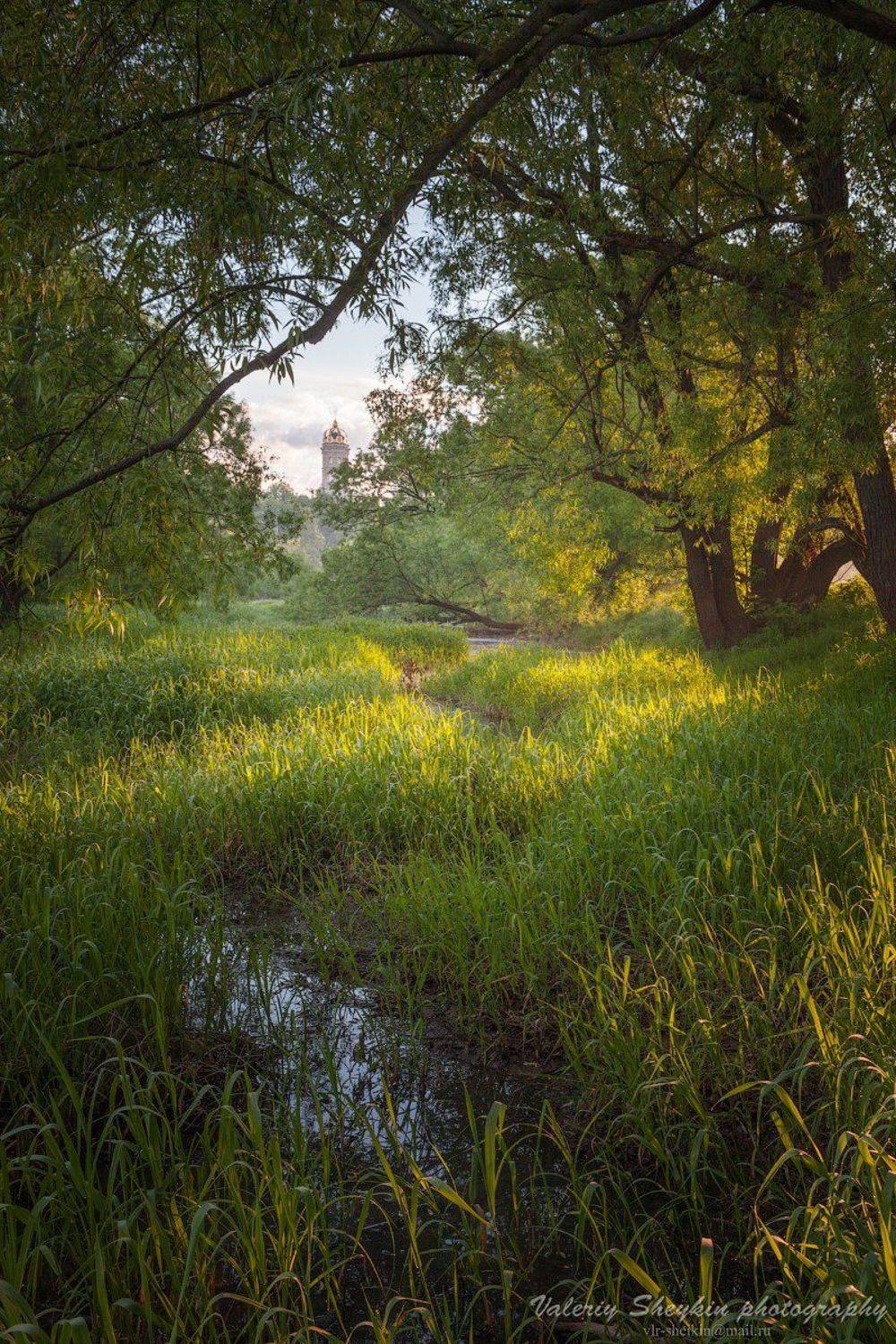 , Валерий Шейкин