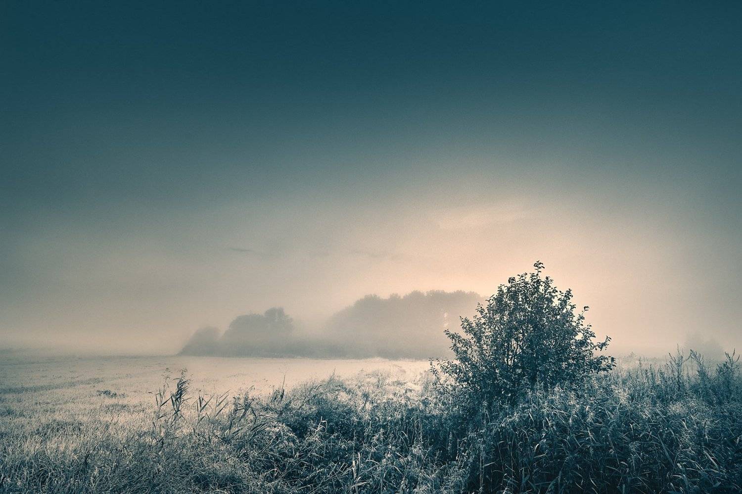 , Каревский Дмитрий