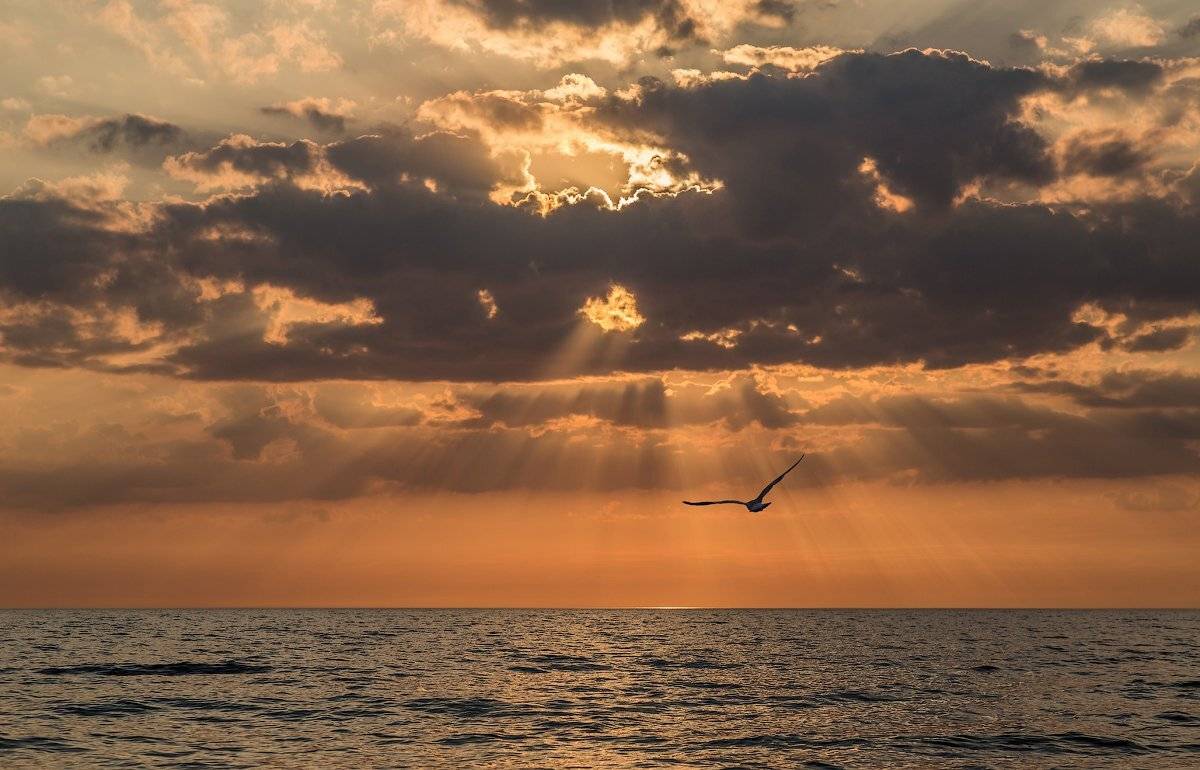 Финский залив. Закат., Юрий Чернов