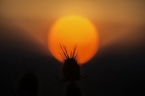 Sun