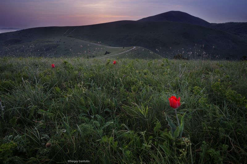 маркотхский хребет, маркотх, кавказ, большой кавказ, краснодарский край, кабардинка, геленджик, новороссийск Маркотхский Хребет фото превью
