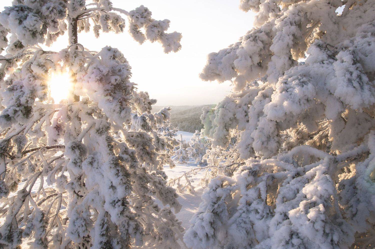 , Александр Филатов