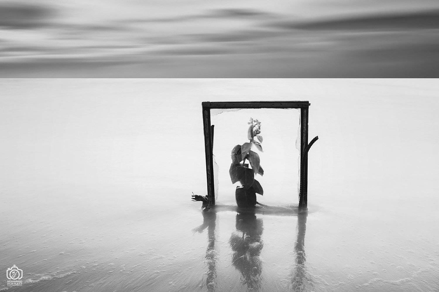 sea,canon,canon80d,longexposure,fineart,concept,nature,conceptual,photo,photography,white,black,light,sea,sky,clouds,minimal,frame,flower, Mohammad Hemmaty