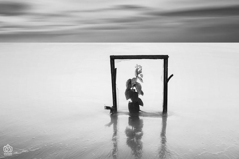 sea,canon,canon80d,longexposure,fineart,concept,nature,conceptual,photo,photography,white,black,light,sea,sky,clouds,minimal,frame,flower untitled фото превью