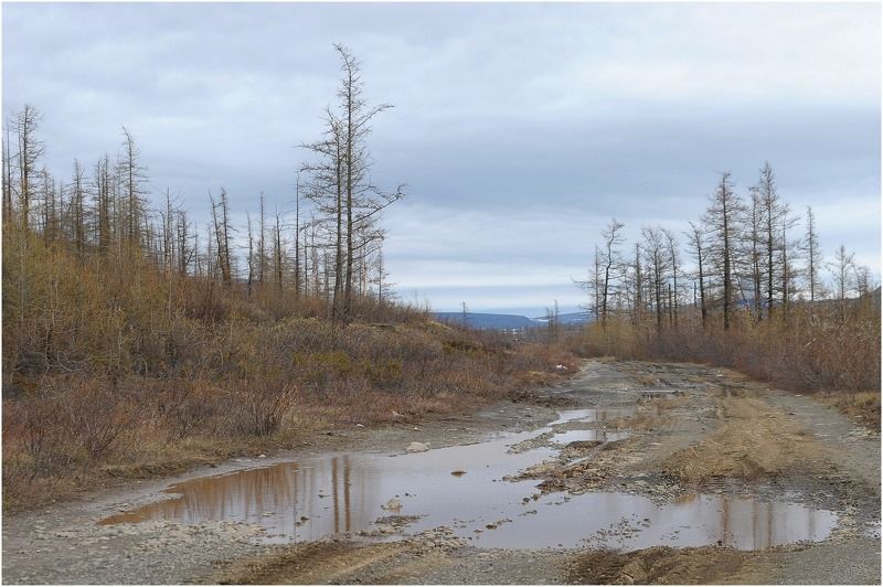 Таймыр,июнь,лето Лето на Таймыре фото превью
