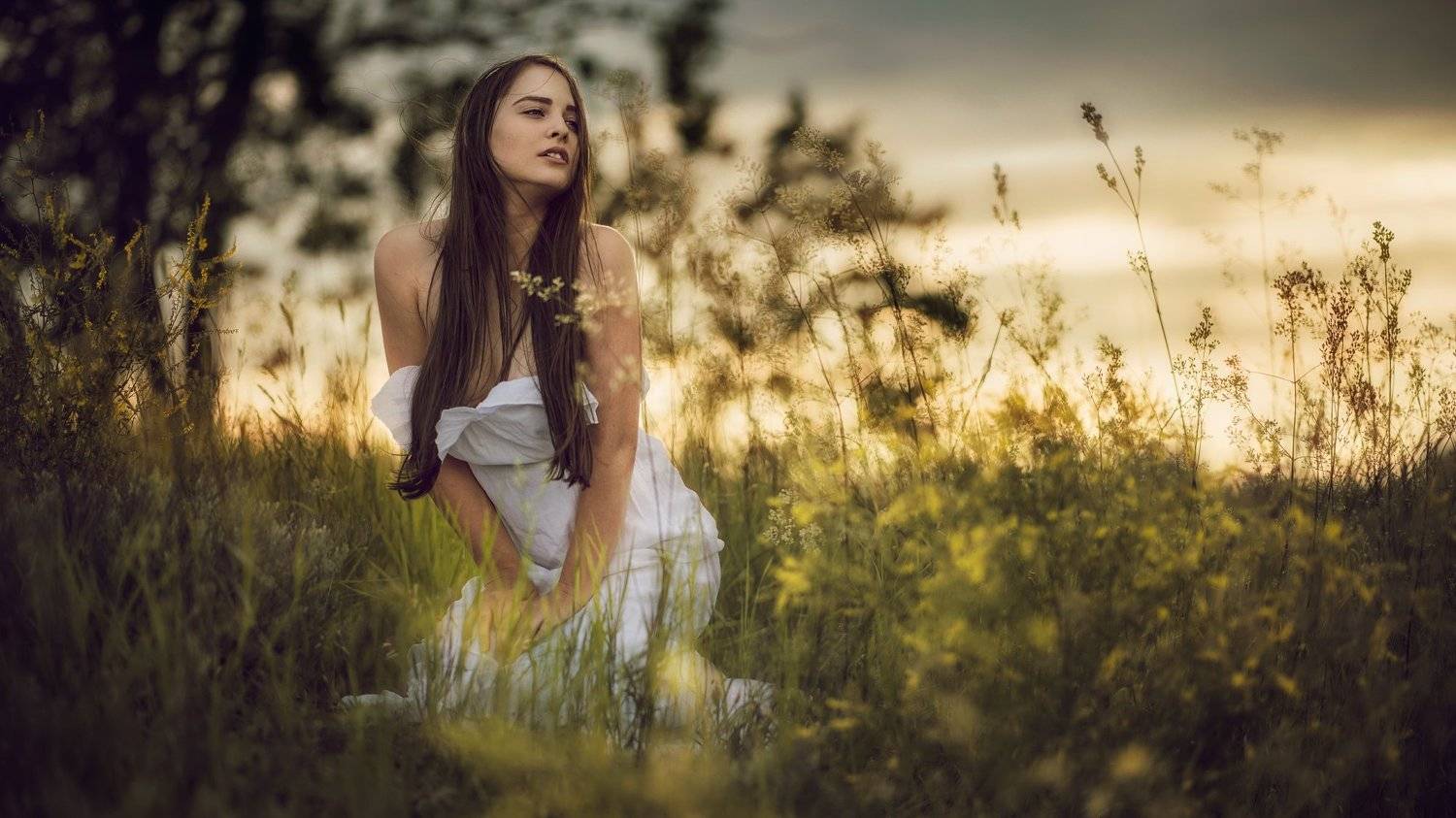 , Денис Богомолов