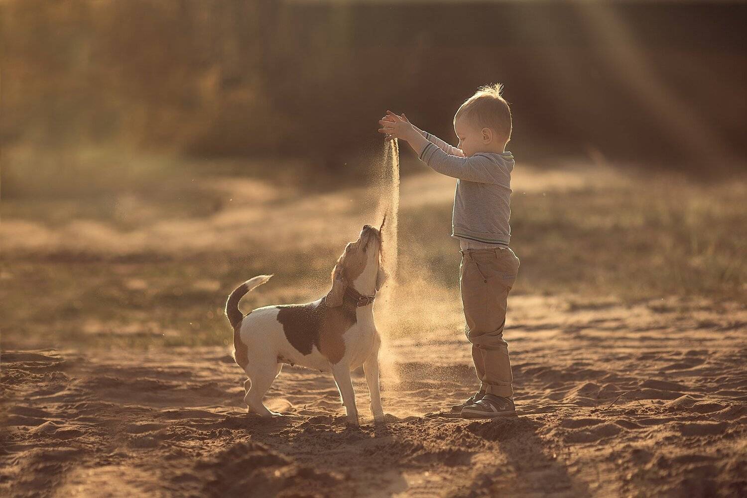 , Дарья Степанова