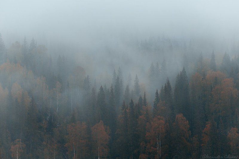 урал, тайга, лес, туман, осень, пейзаж, природа Таежный туман фото превью