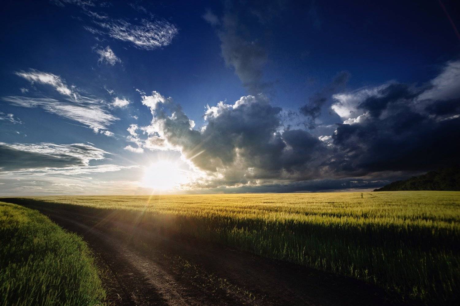 закат, природа, Alexander Sergeev