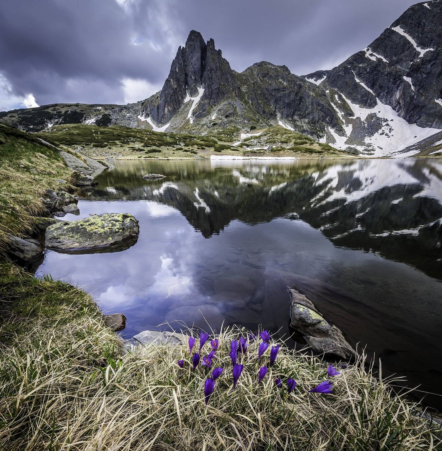 nature, landscape, mountain, flowers,water, lake,green, outdoor, Jeni Madjarova