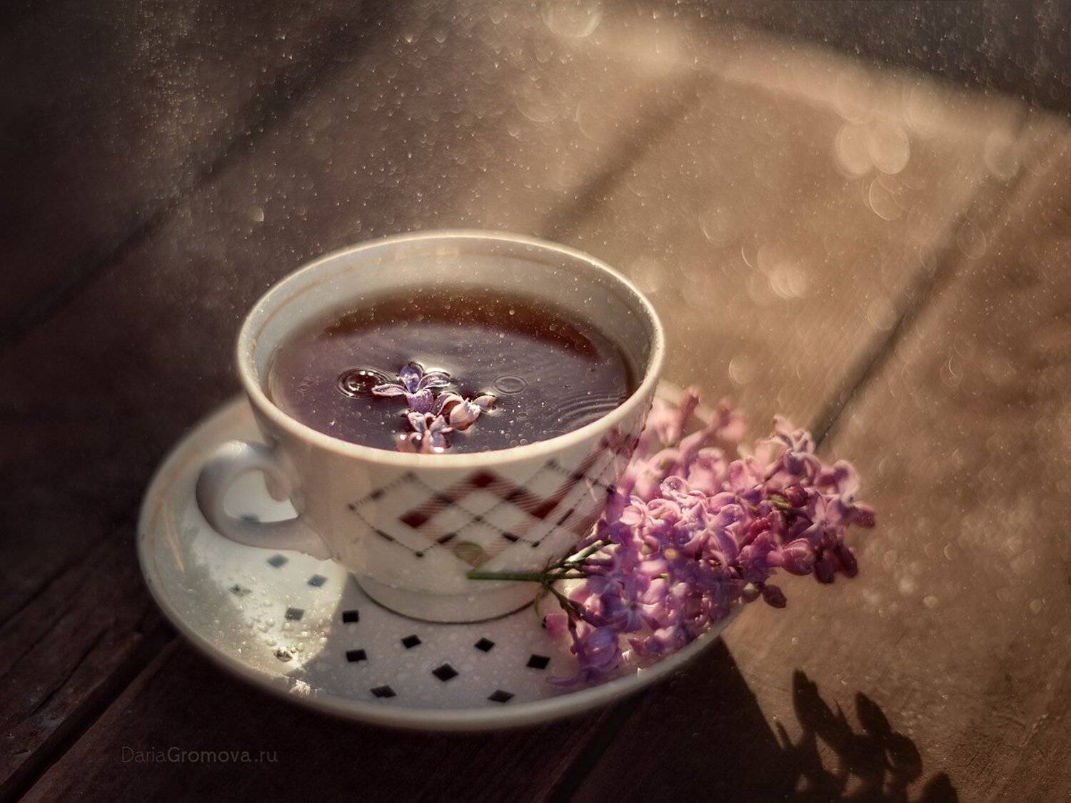 сирень, макро, натюрморт, чайбоке, ручной обьектив, мануальная оптика, фотограф, фотосессия, натюрморт, фото, блики, цветы, гелиос, макро,, Дарья Громова