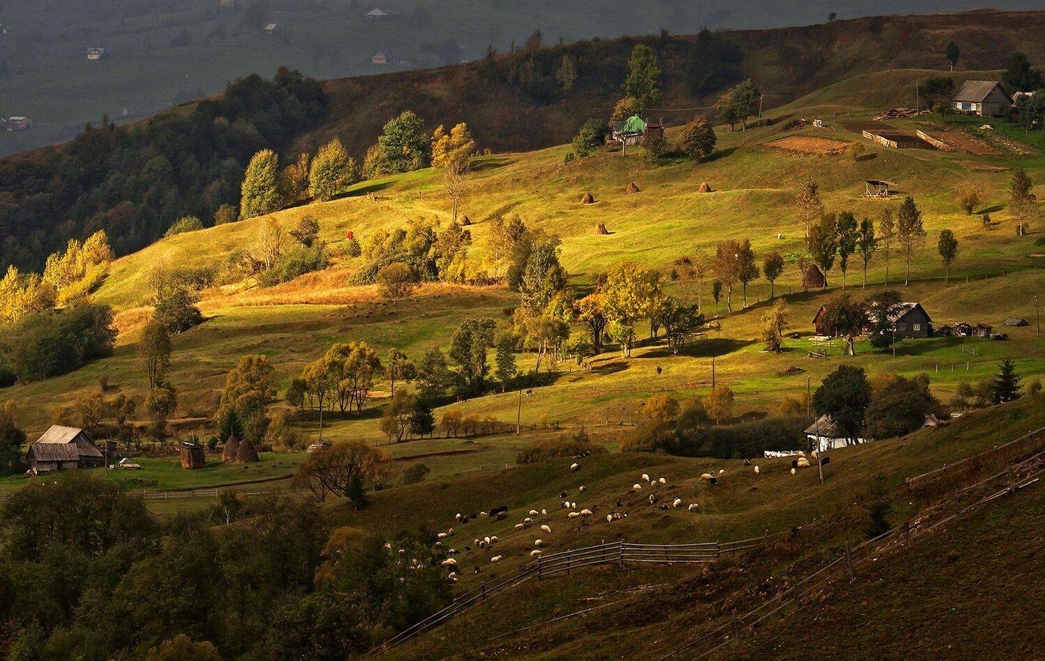 карпаты, утро, посёлок, ясиня, Михаил Глаголев
