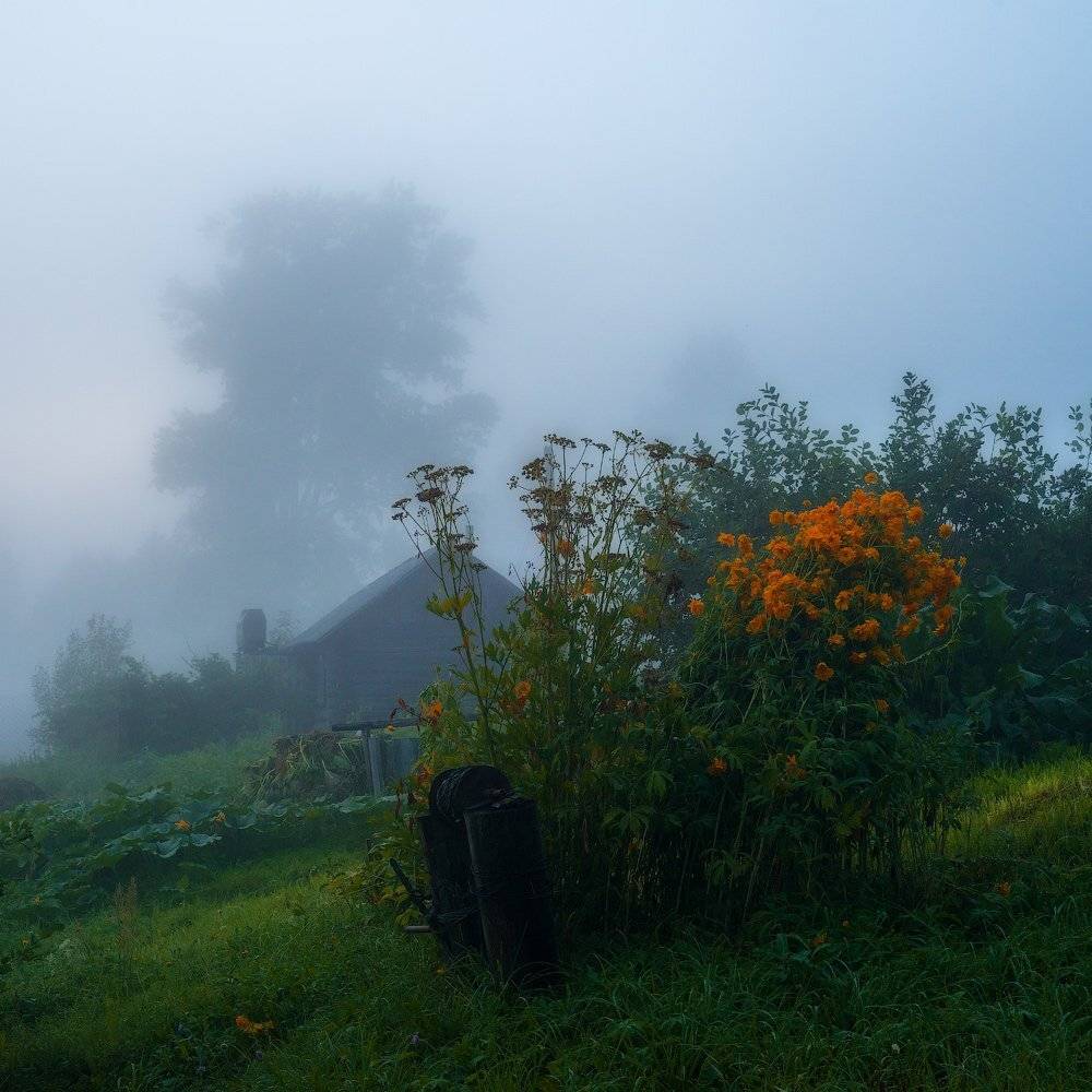 девятины,вологодчина,волго-балт,север,лето,, Роман Горячий