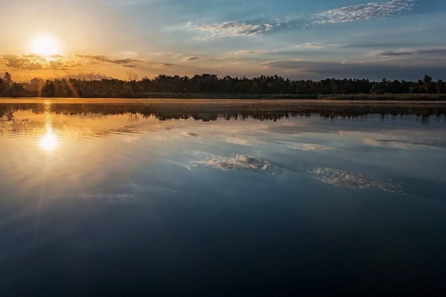 , Александр Губель