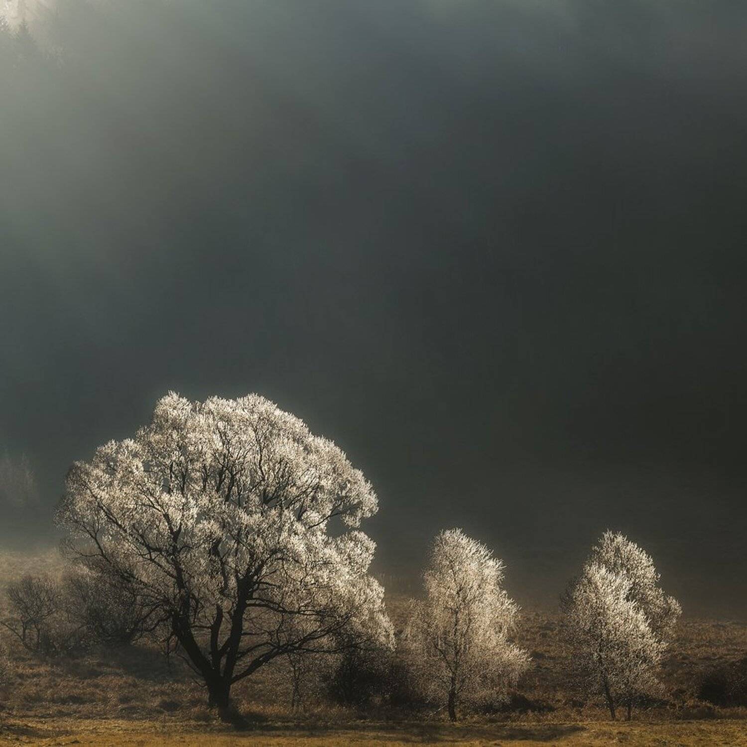 landscape,canon,mist,light, Iza,Darek