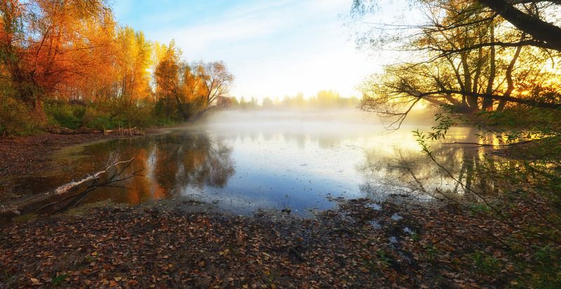 утро фото превью
