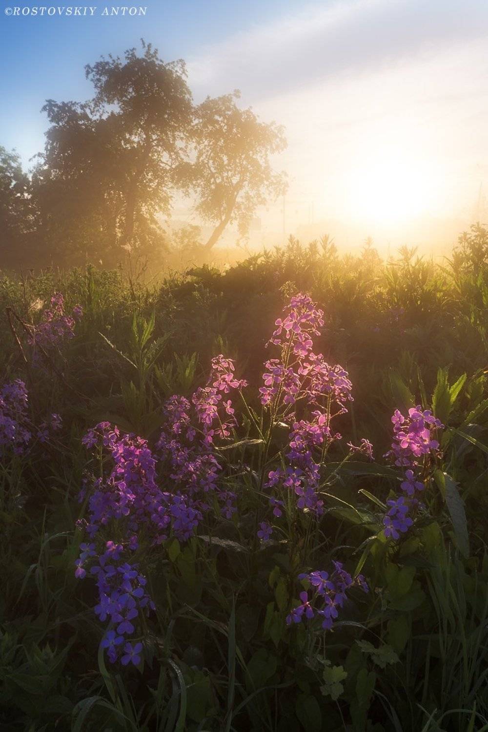 долгопрудный, москва, россия, восход, Антон Ростовский