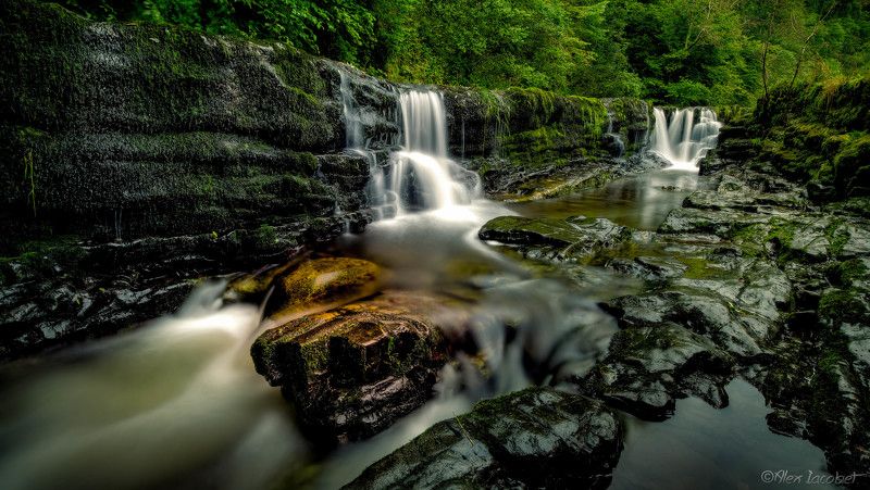 Flow of Life фото превью