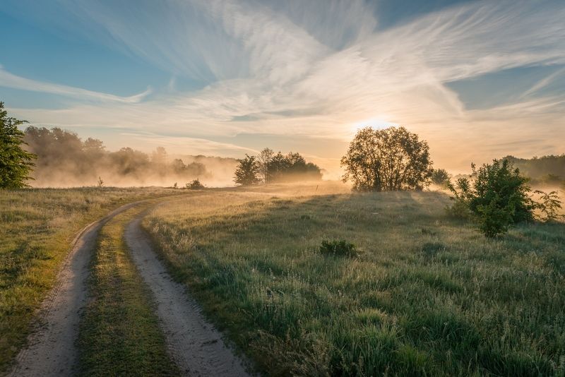 Утренний туман фото превью