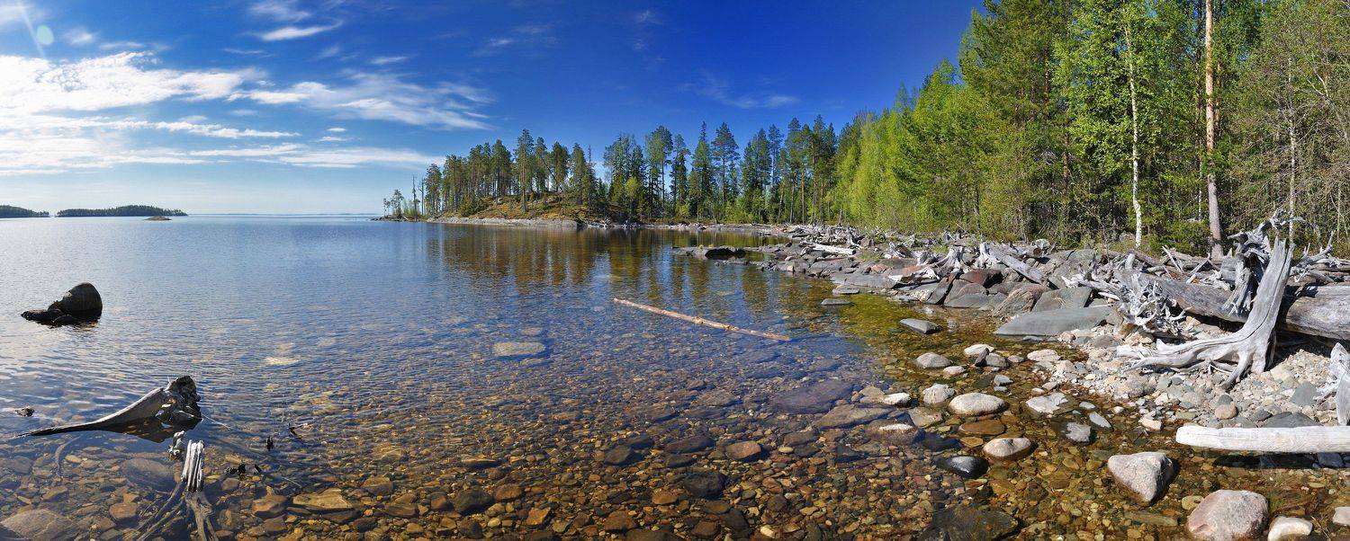 , Андрей Куликов