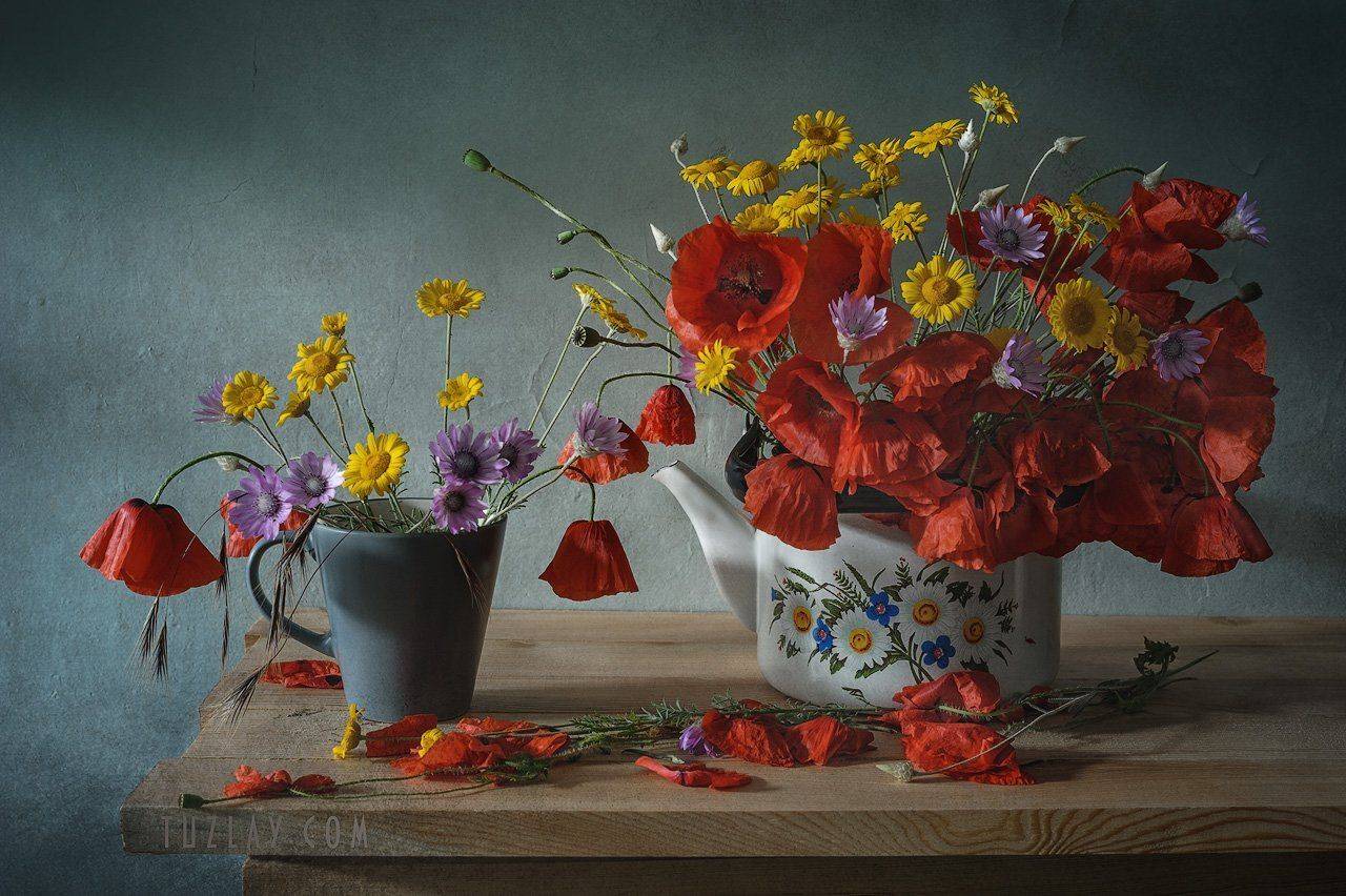 мак, красный цветок, маки, лето в чашке, лето в чайнике, бессмертник, сухоцвет, пупавка, Владимир Тузлай