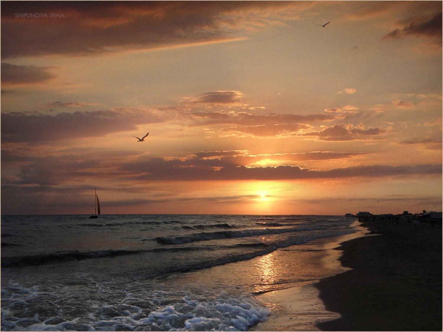 , Шипунова Ирина