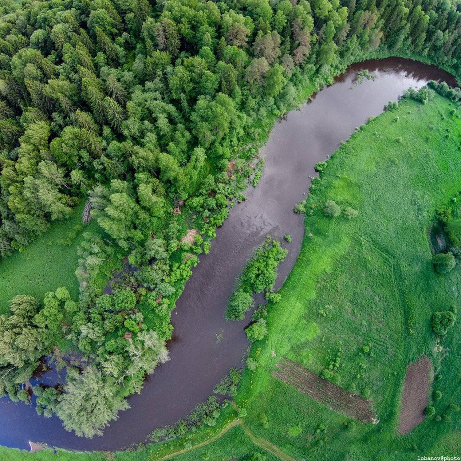 соть, ярославская область, Алексей Лобанов