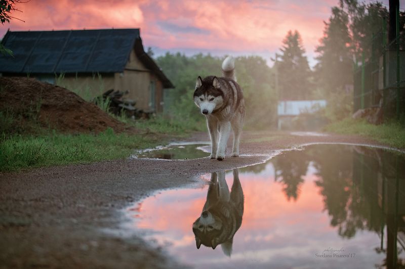 Вечер в деревне... фото превью