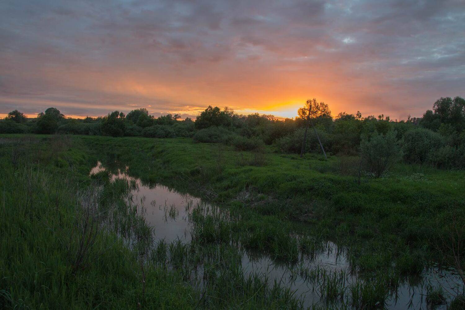 , Александр