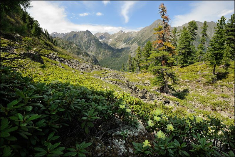 восточные саяны, бурятия, Саянские дали фото превью
