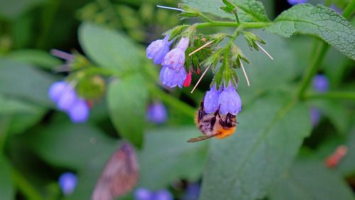 После дождя. 