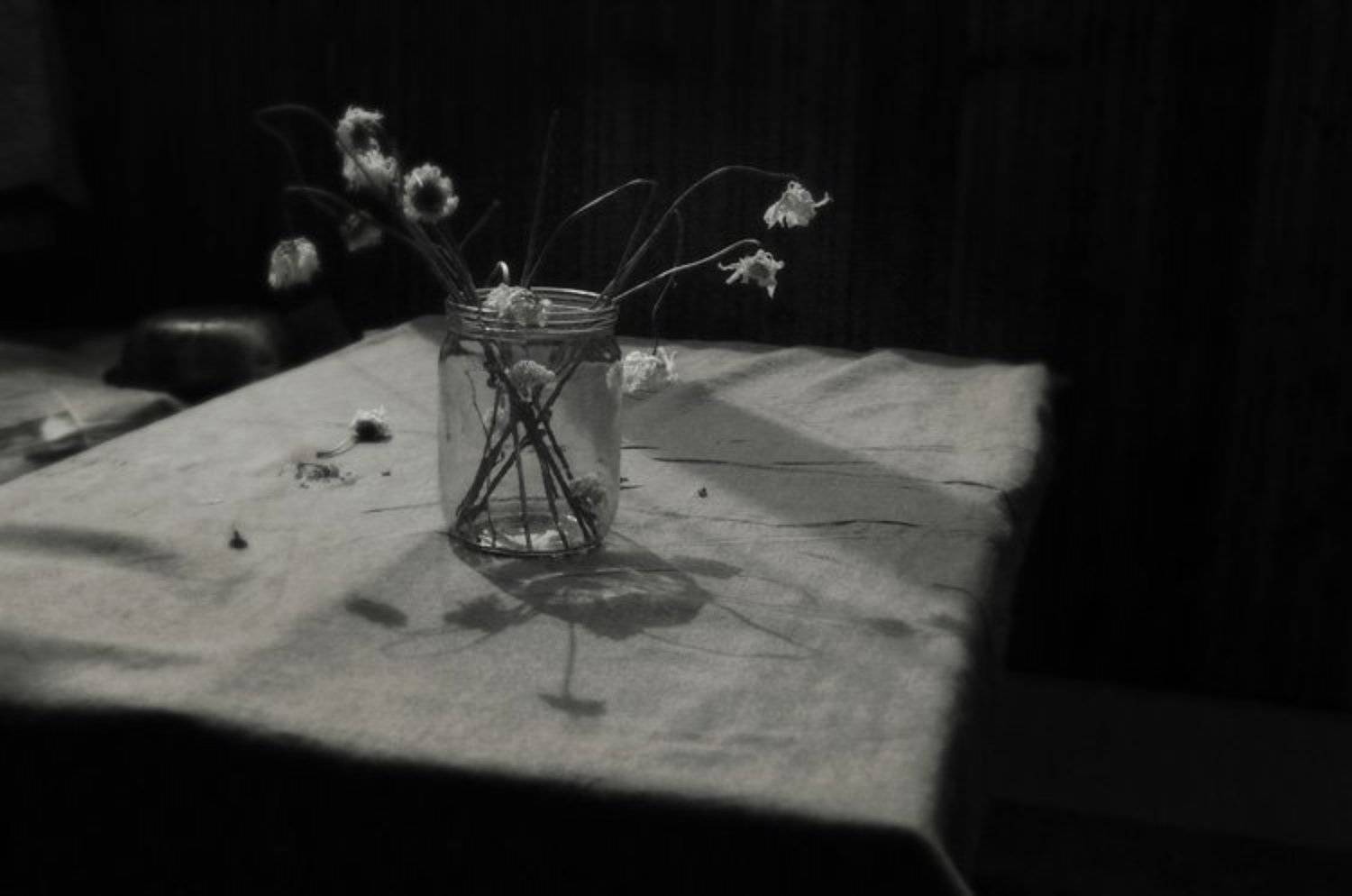 ромашка, Ирина Курмалеева