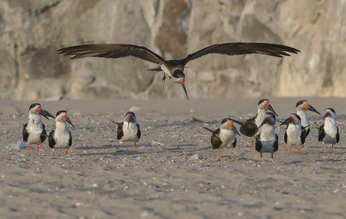 отдых, Александр Маркелов