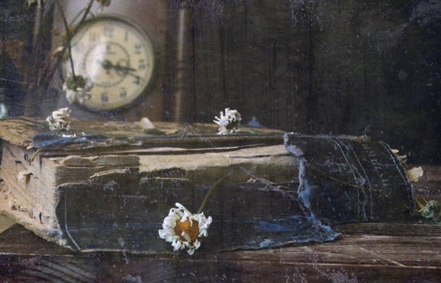 книга, часы, Ирина Курмалеева