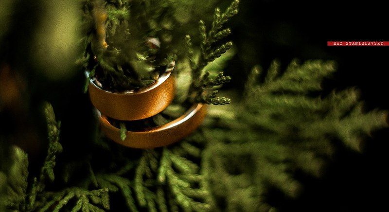 #weddingphotography #photographer #weddingodessa #weddingkiev #stanislavsky #girl #свадебныйфотограф #фотографодесса #свадебныйфотографодесса #свадеба #невеста #фотосессия #lovestory #fineartwedding #МаксимСтаниславский  фото превью