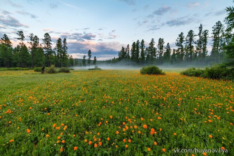 Жарки фото превью