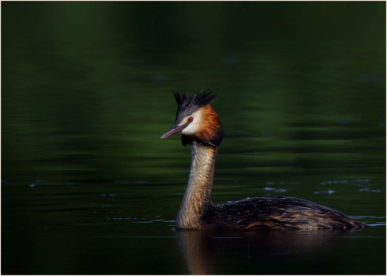 , Валерий Субачев