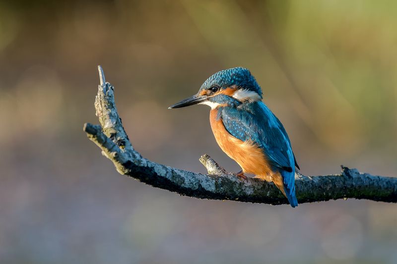 F#%CK You фото превью