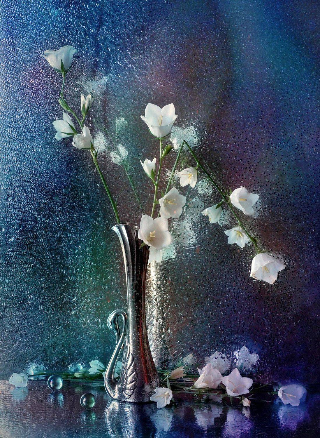 , Айснер Юлия