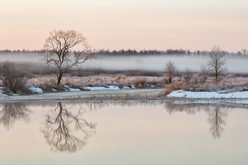 Утренние зарисовки фото превью