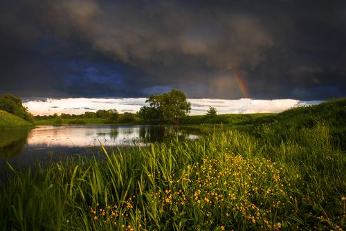После грозы