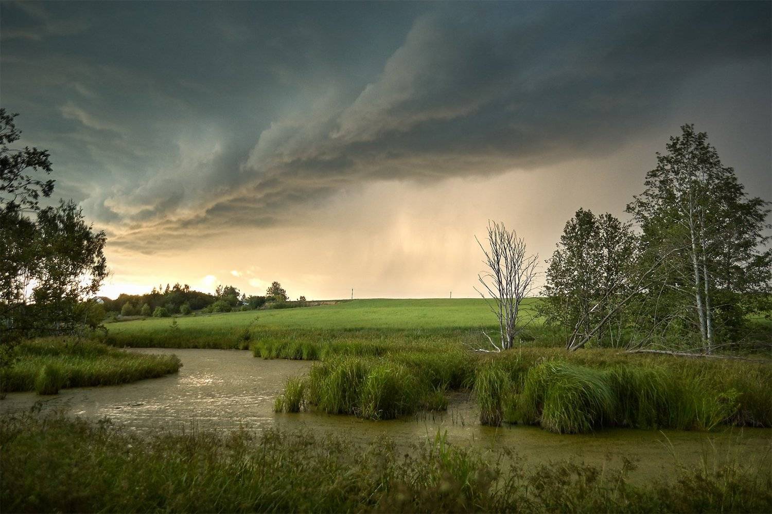 , Медведев Александр