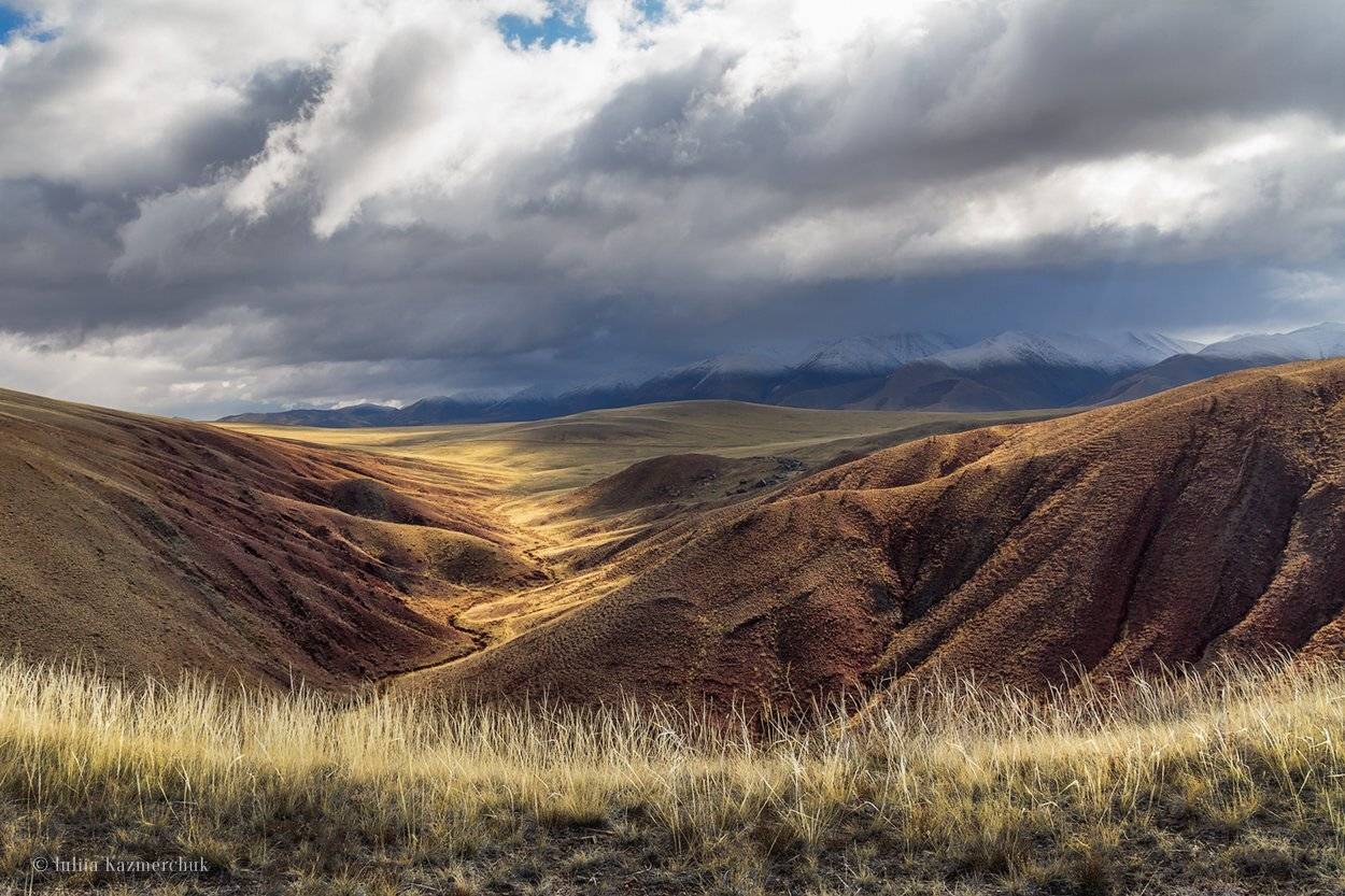 landscape, scenic, nature, travel, outdoor, view, tourism, steppe, spring, mountains, snow, sky, high, grass, Altai, Казмерчук Юлия