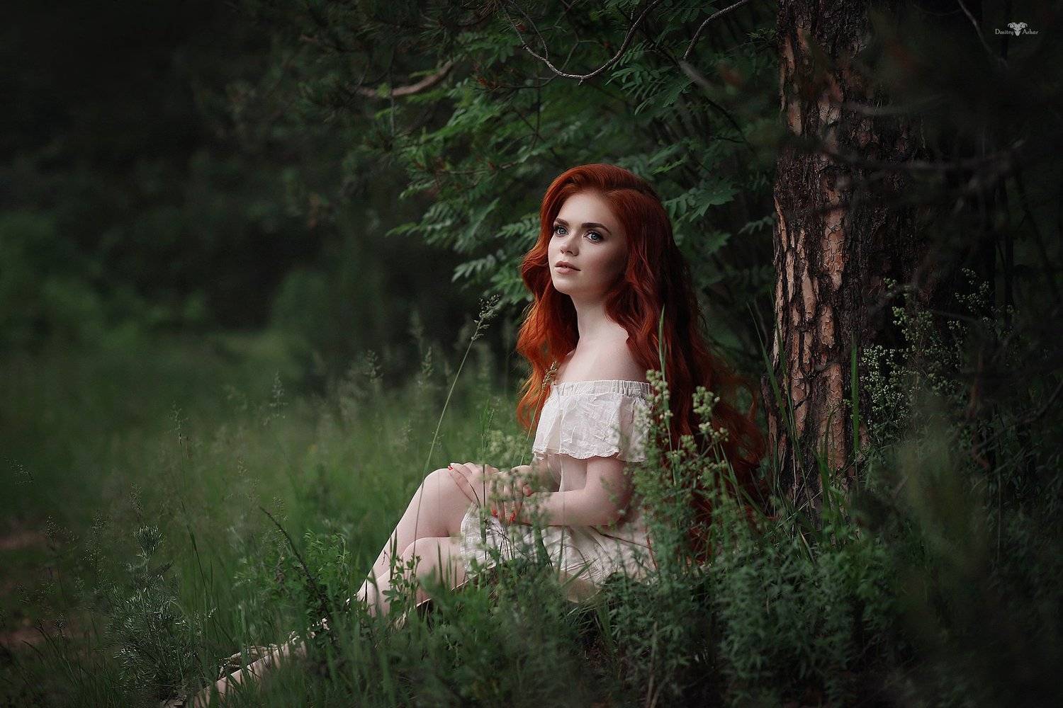 , Dmitry Arhar